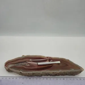 Natural Brown Agate Ashtray  - 718 gr