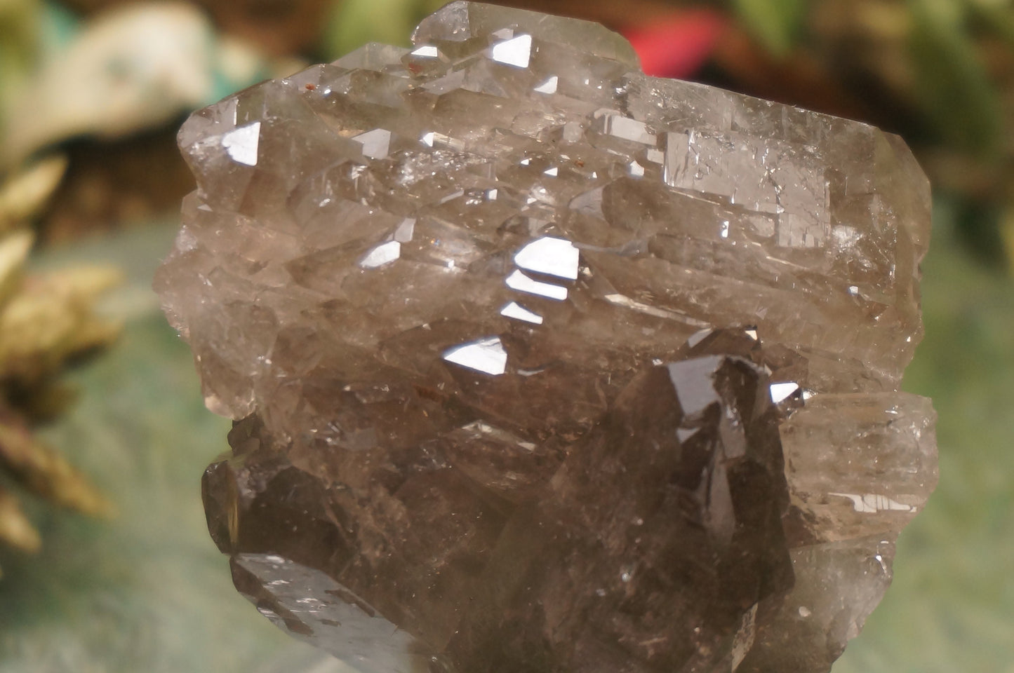 natürlicher Kristallhaufen Rauchquarz genetischer Komplex Spitzen Zwillinge Heiltherapie Mineralstein Kraftsammlung Exemplar Dekoration Magie