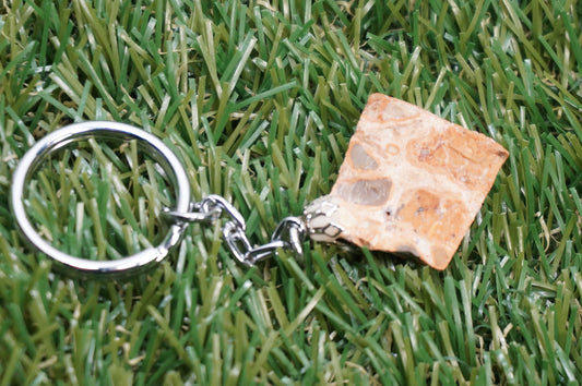 Natural Leopard Jasper Crystal Keychain