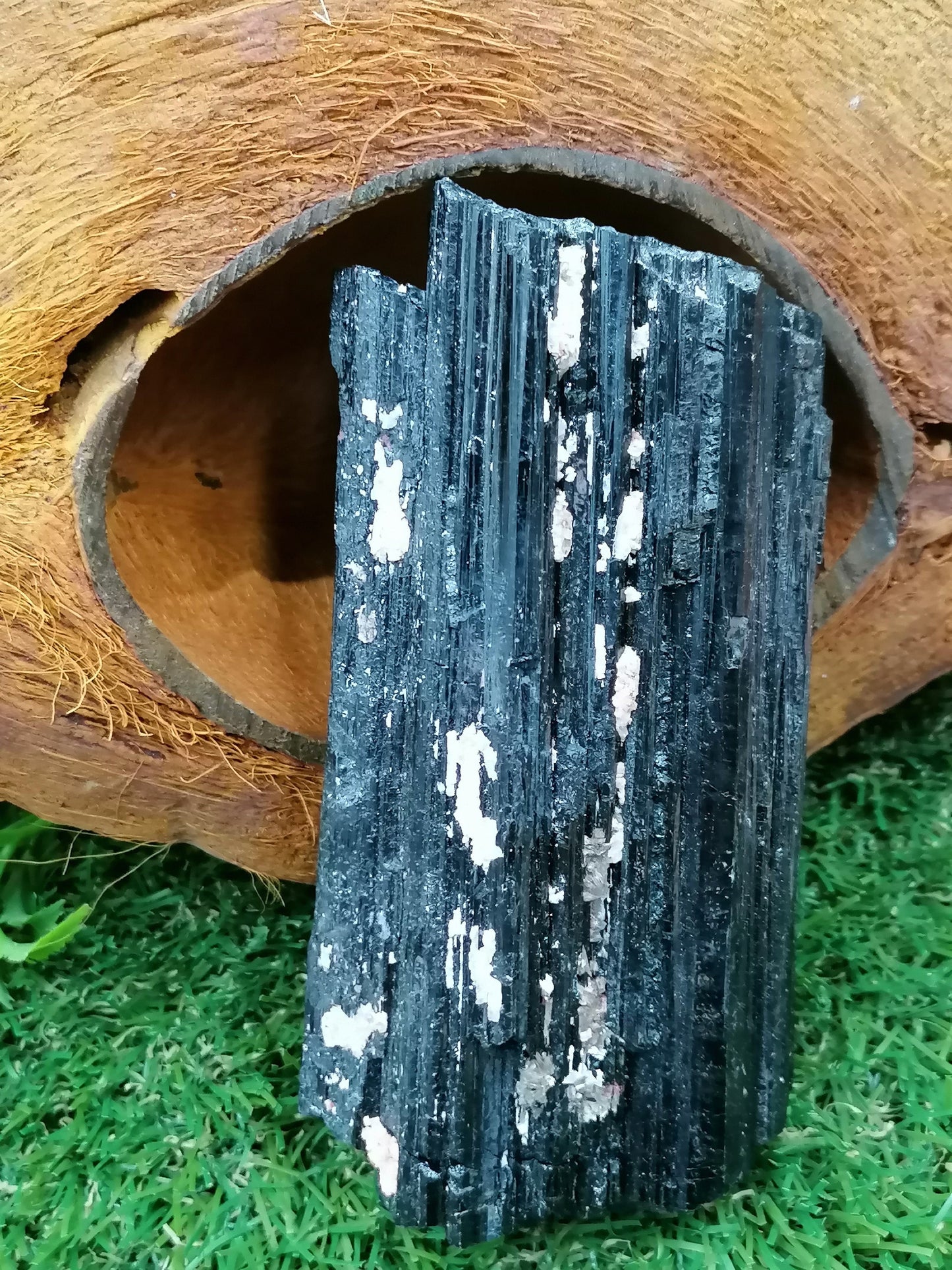 Black Tourmaline Schorl Crystal protection   Healing Mineral and Home Decor