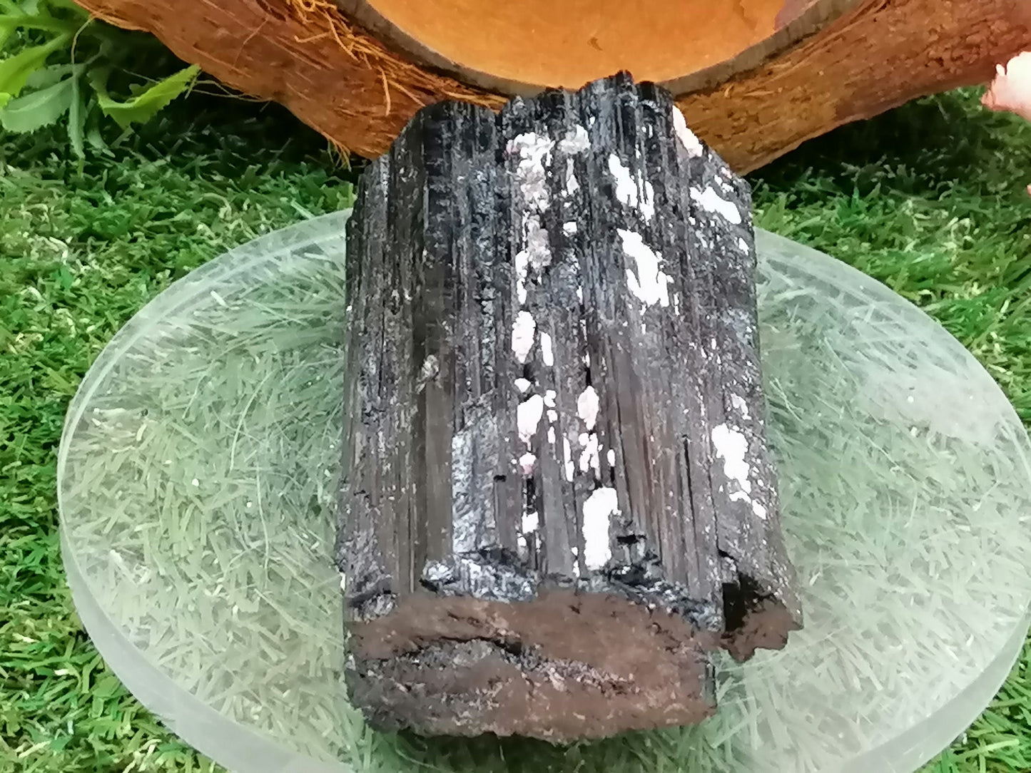 Black Tourmaline Schorl Crystal protection   Healing Mineral and Home Decor