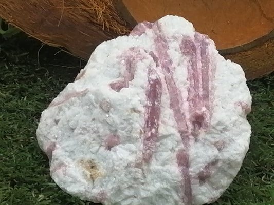 Pink Tourmaline Stripped Quartz Crystal // Home Decor and Healing