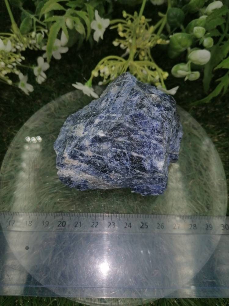 Natural Crystal Sodalite Collection Speciment Healing Stone Birtsthone Crystal Protection