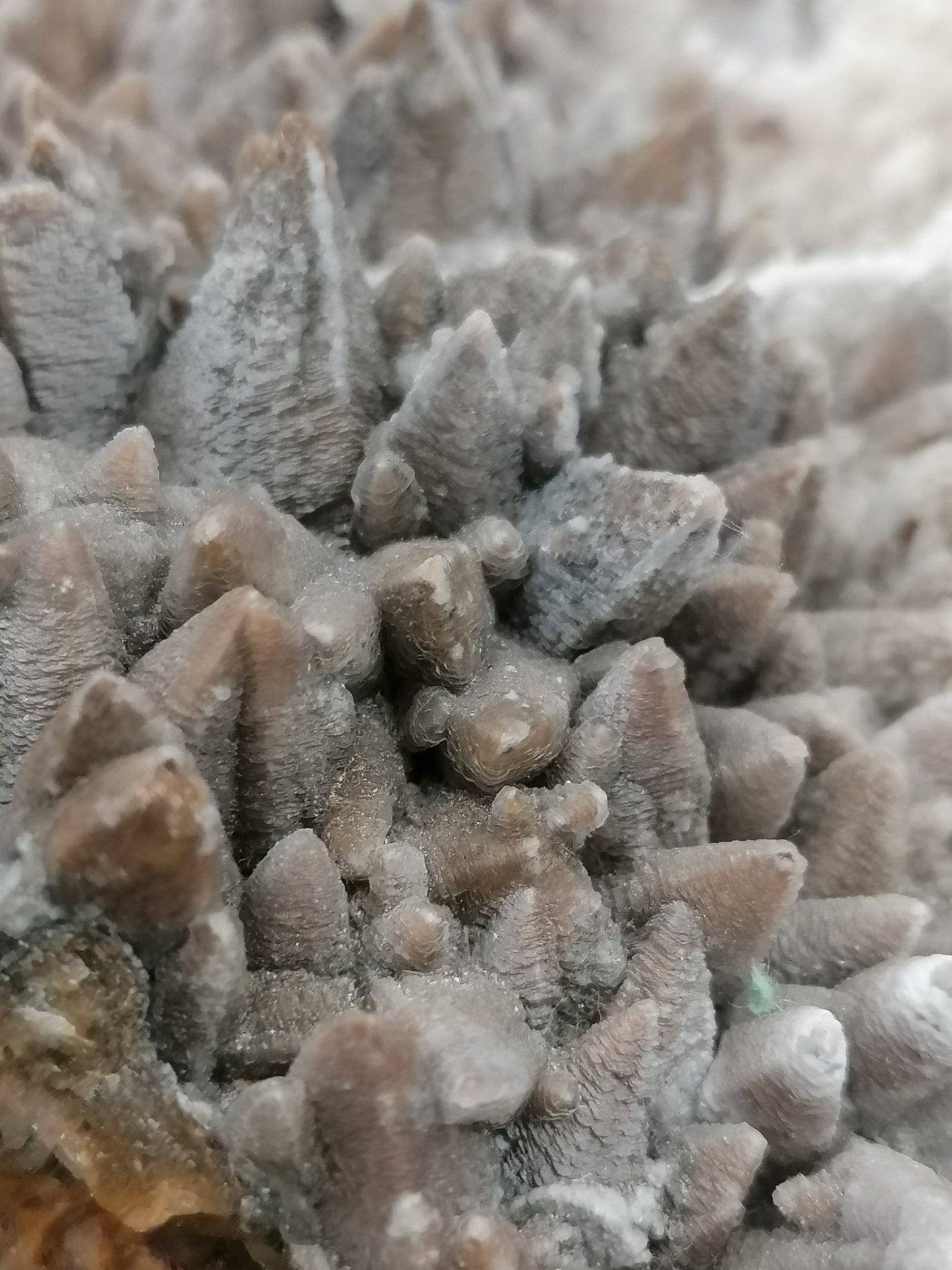 Dog Teeth Ankerite Oxidation Calcite Greek Mineral Collection rare piece