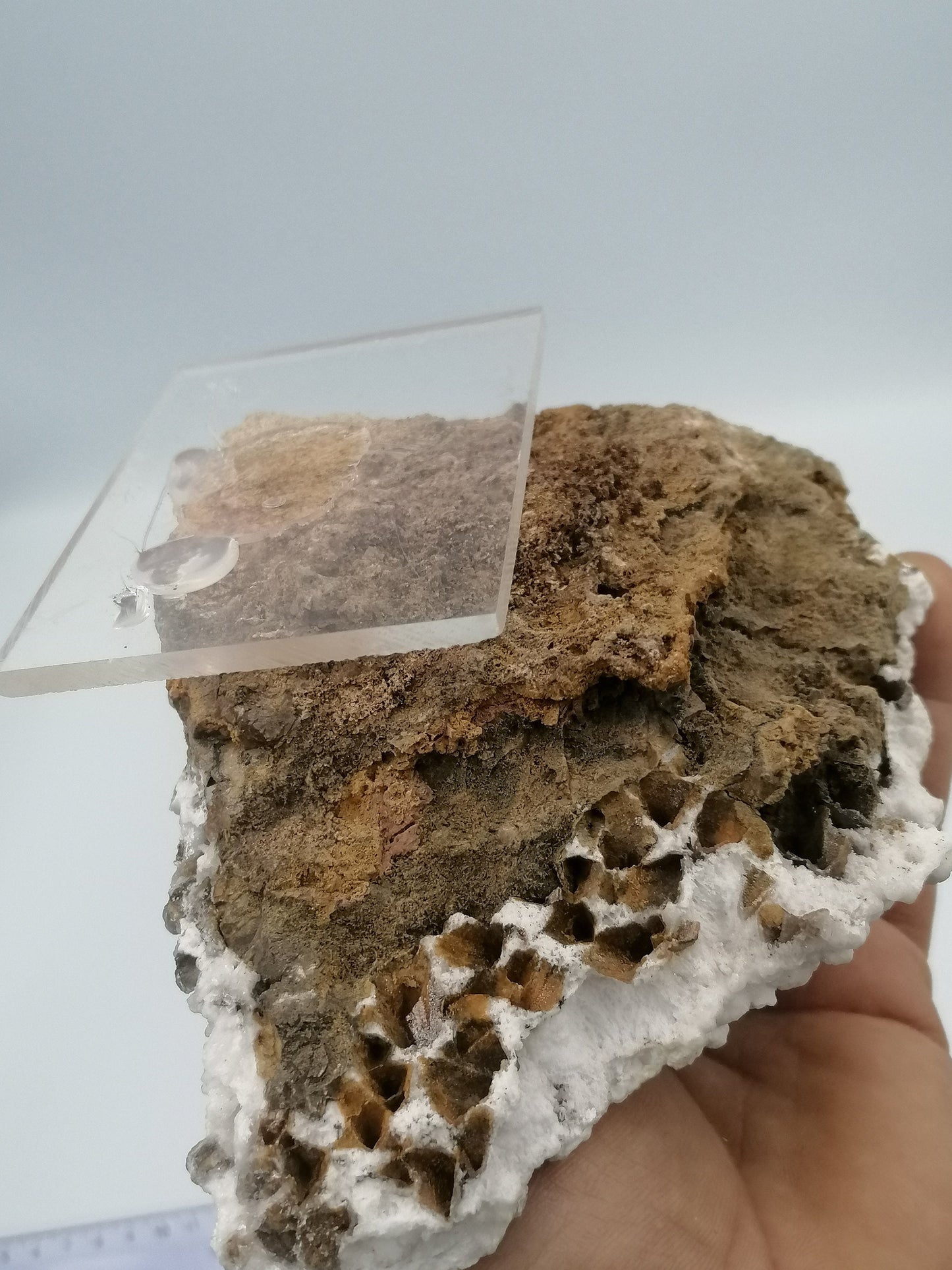 Dog Teeth Ankerite Oxidation Calcite Greek Mineral Collection rare piece