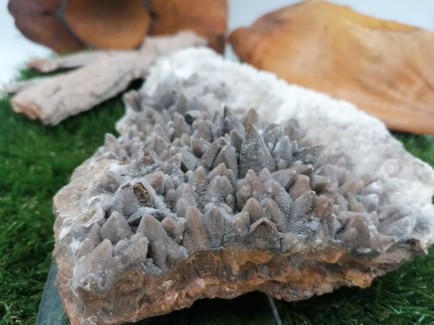 Dog Teeth Ankerite Oxidation Calcite Greek Mineral Collection rare piece