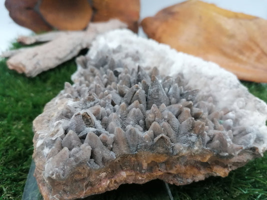 Dog Teeth Ankerite Oxidation Calcite Greek Mineral Collection rare piece