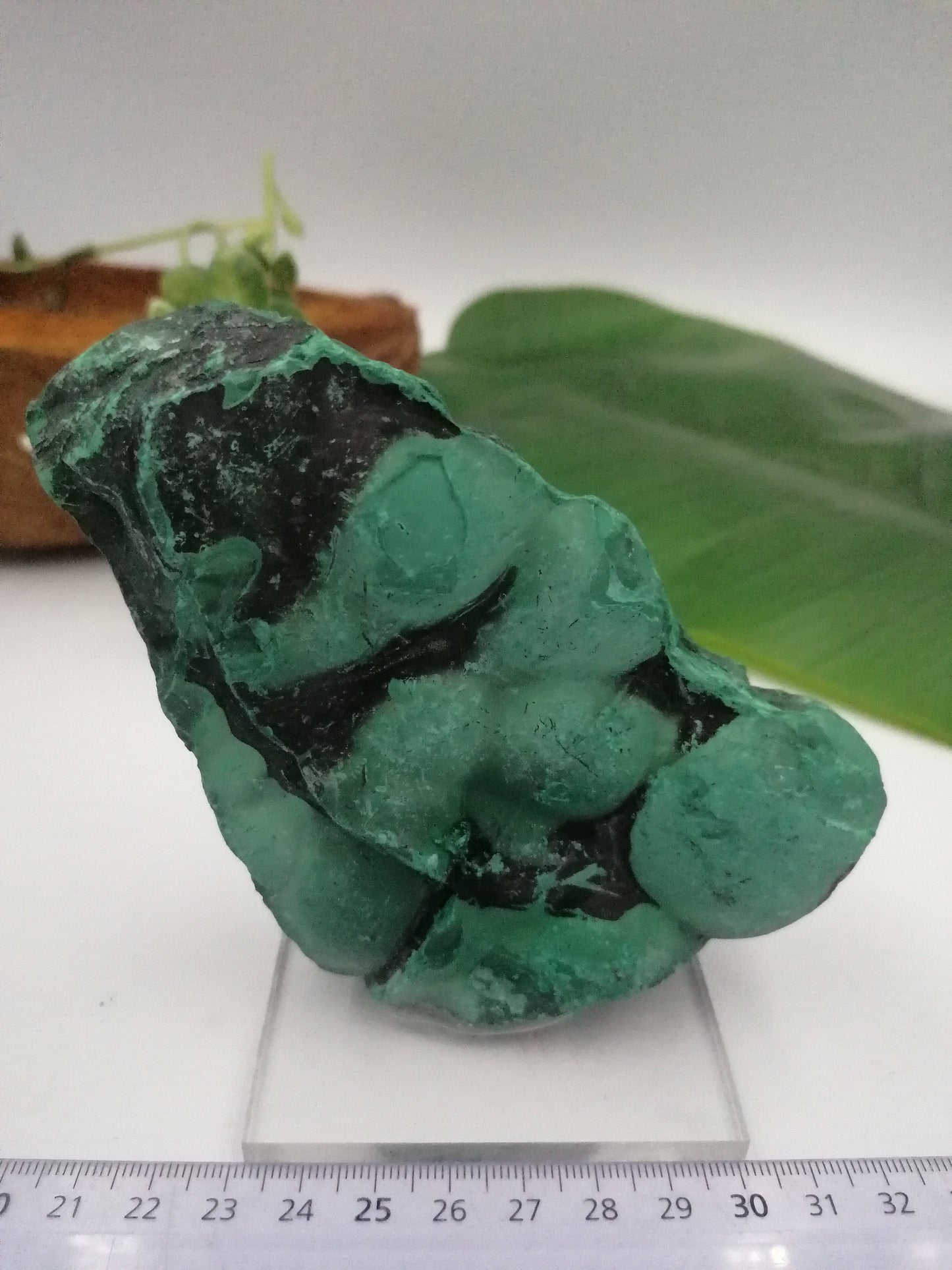 Malachite Crystal Βotryoid Kongo Collection piece Green crystal Medidation Stone Protection Stone