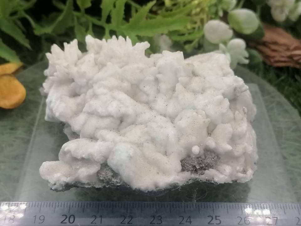 Greek Mineral Calcite Aragonite Coral Form Collection Speciment Healing Stone Birtsthone Crystal Protection Decoration Mineral