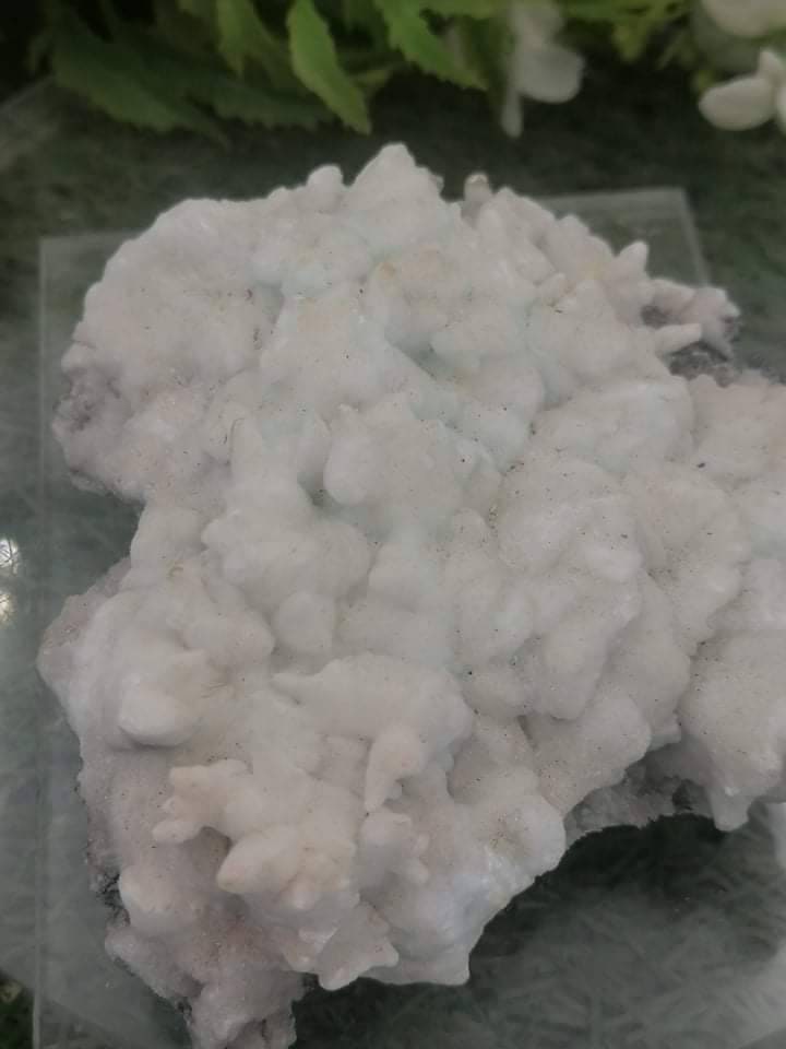 Greek Mineral Calcite Aragonite Coral Form Collection Speciment Healing Stone Birtsthone Crystal Protection Decoration Mineral