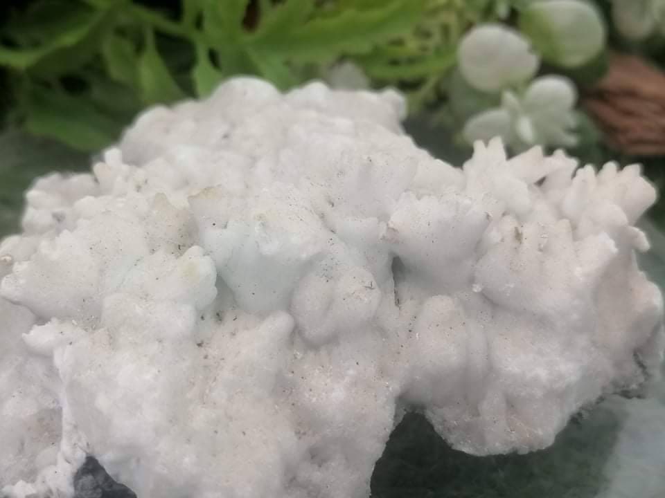 Greek Mineral Calcite Aragonite Coral Form Collection Speciment Healing Stone Birtsthone Crystal Protection Decoration Mineral