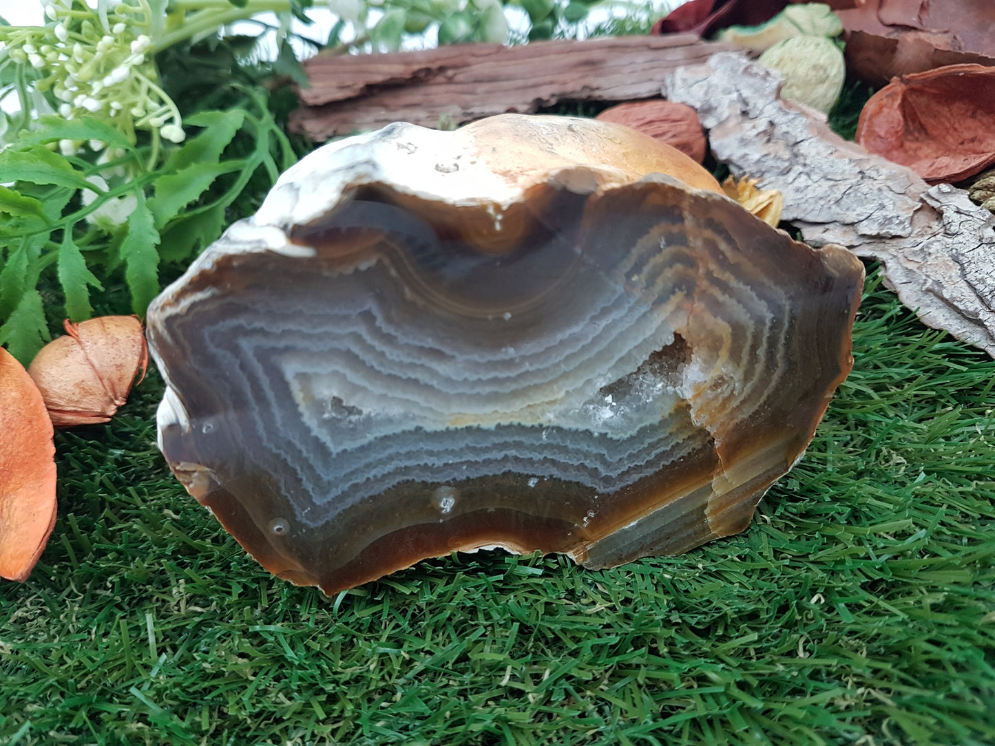 Orange / Brown Agate with Quartz Center Point - Rough Mineral - Office Protection - Geody Piece