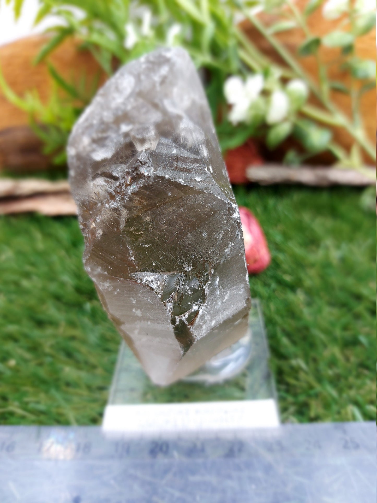 Natural Smokey Quartz - Healing Crystal Zodiac Mineral Stone