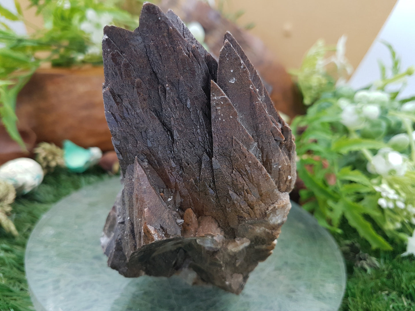 AMAZING GREEK Anterior Ankerite Geody DogTeeth Crystal for Protection