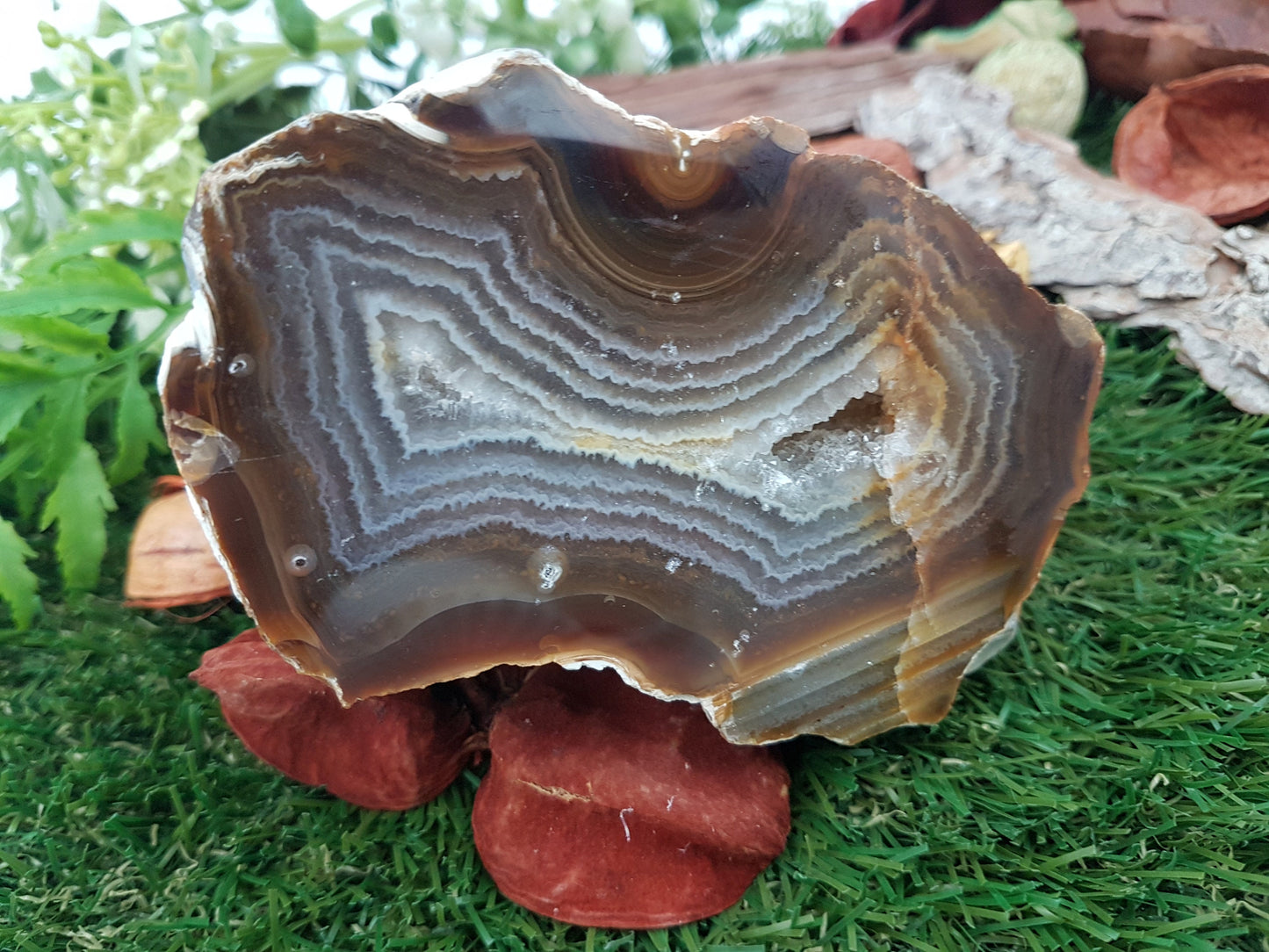 Orange / Brown Agate with Quartz Center Point - Rough Mineral - Office Protection - Geody Piece
