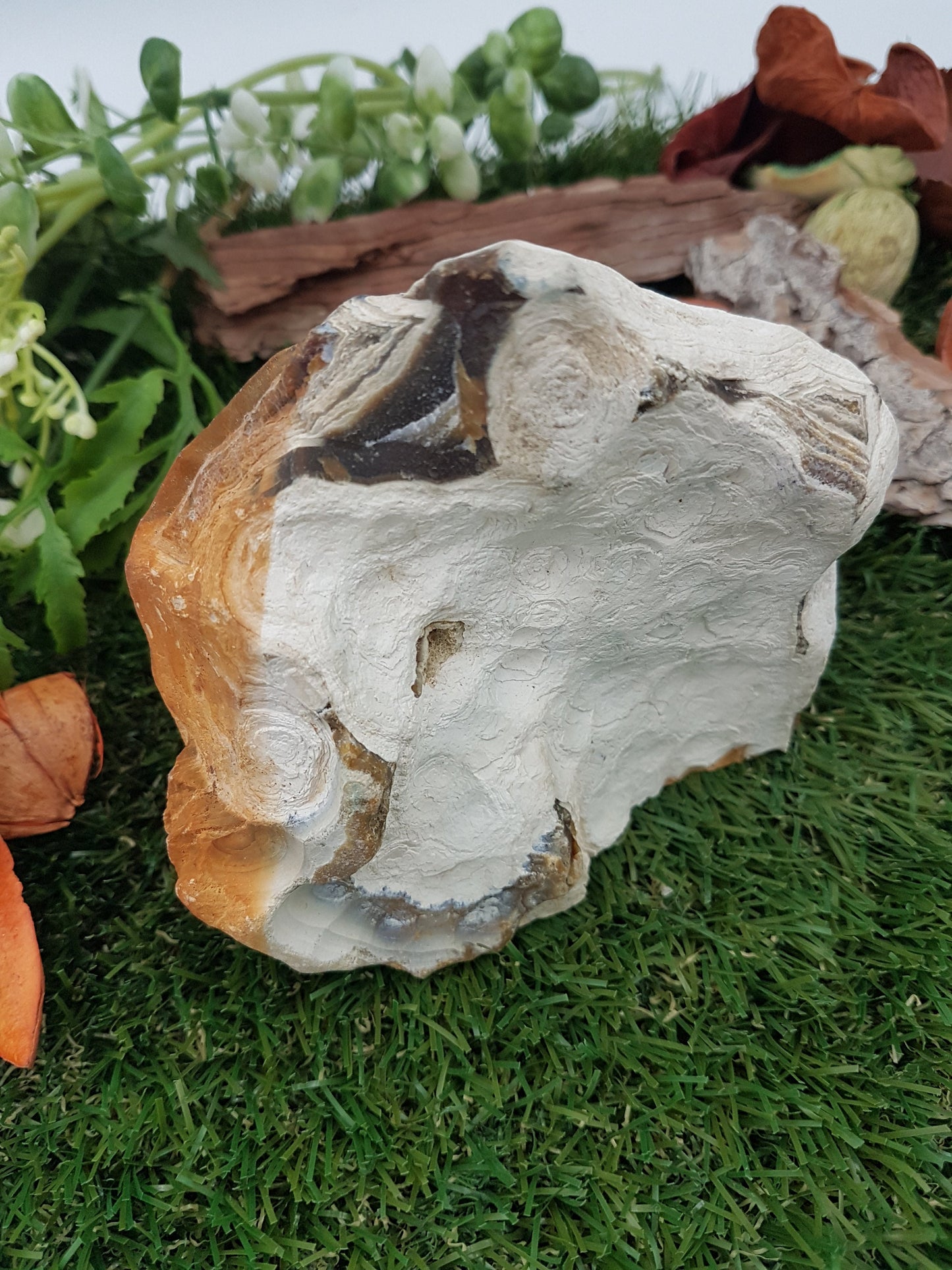 Orange / Brown Agate with Quartz Center Point - Rough Mineral - Office Protection - Geody Piece