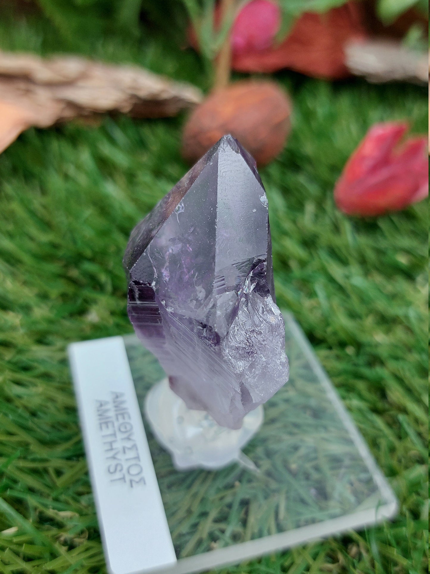Natural Pointy Amethyst - Extra Quality - Rough Mineral