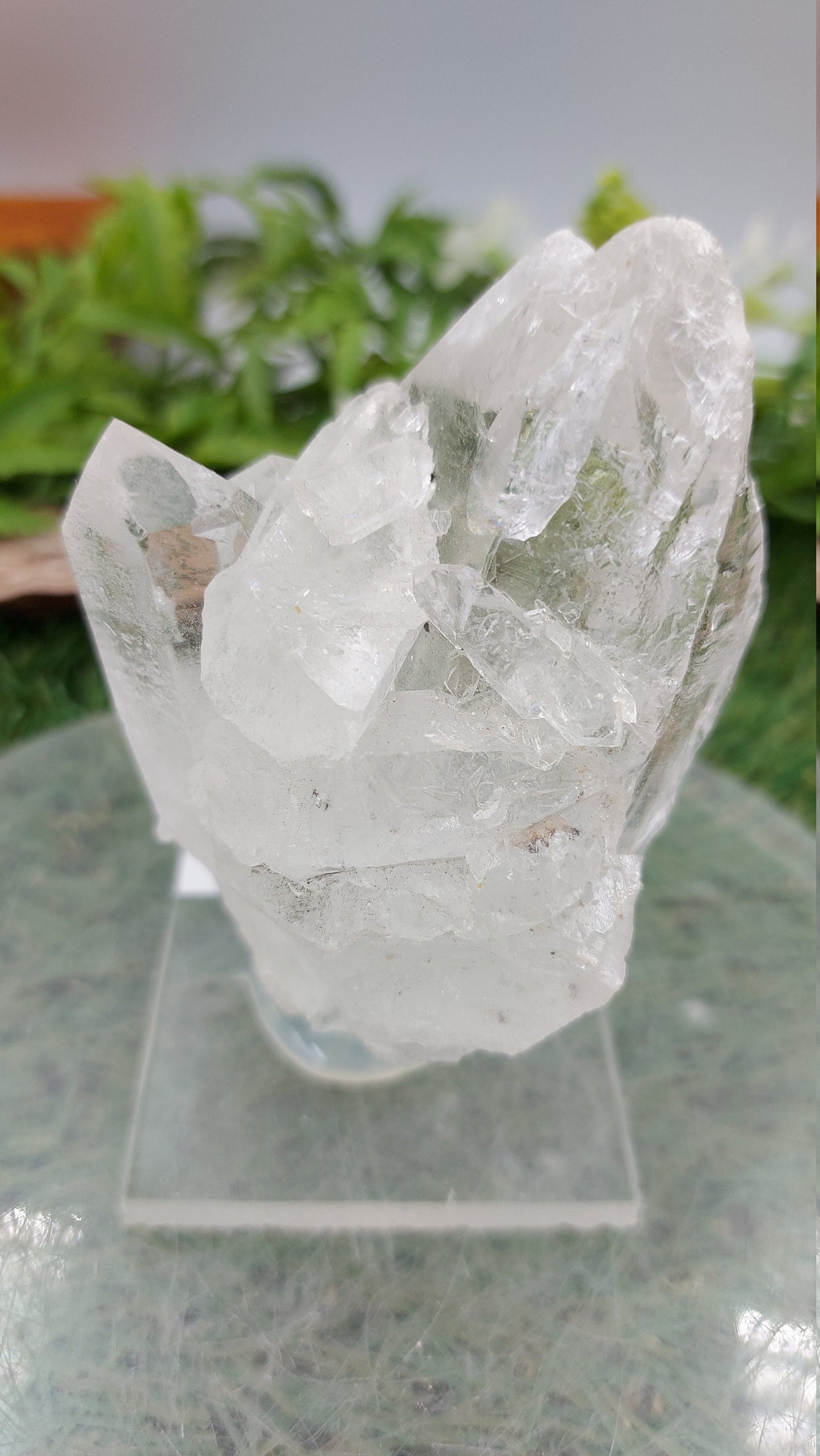 Collector's Piece Quartz Twins - Home Decor - Feng Shui - Protection - Meditation