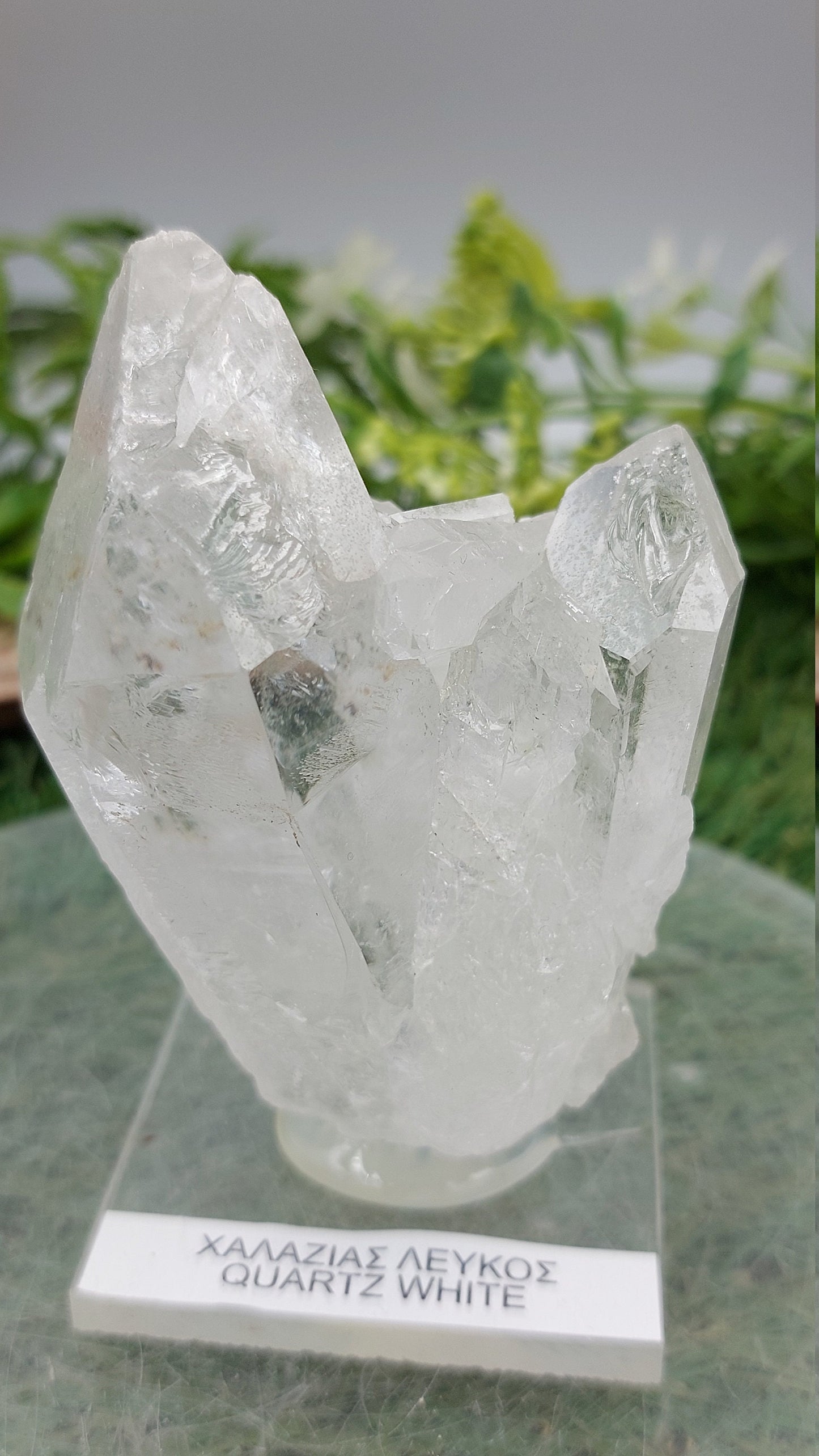 Collector's Piece Quartz Twins - Home Decor - Feng Shui - Protection - Meditation