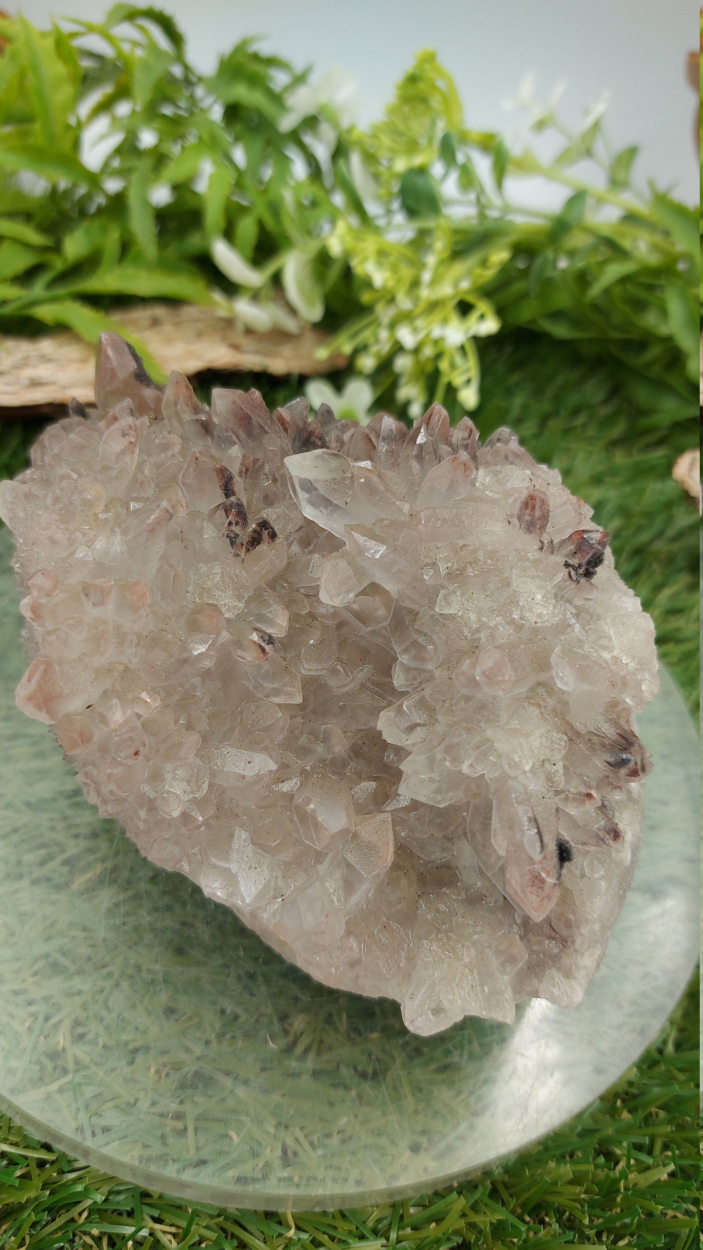 Collector's Piece - Quartz Rough Mineral with Hematite Oxidation