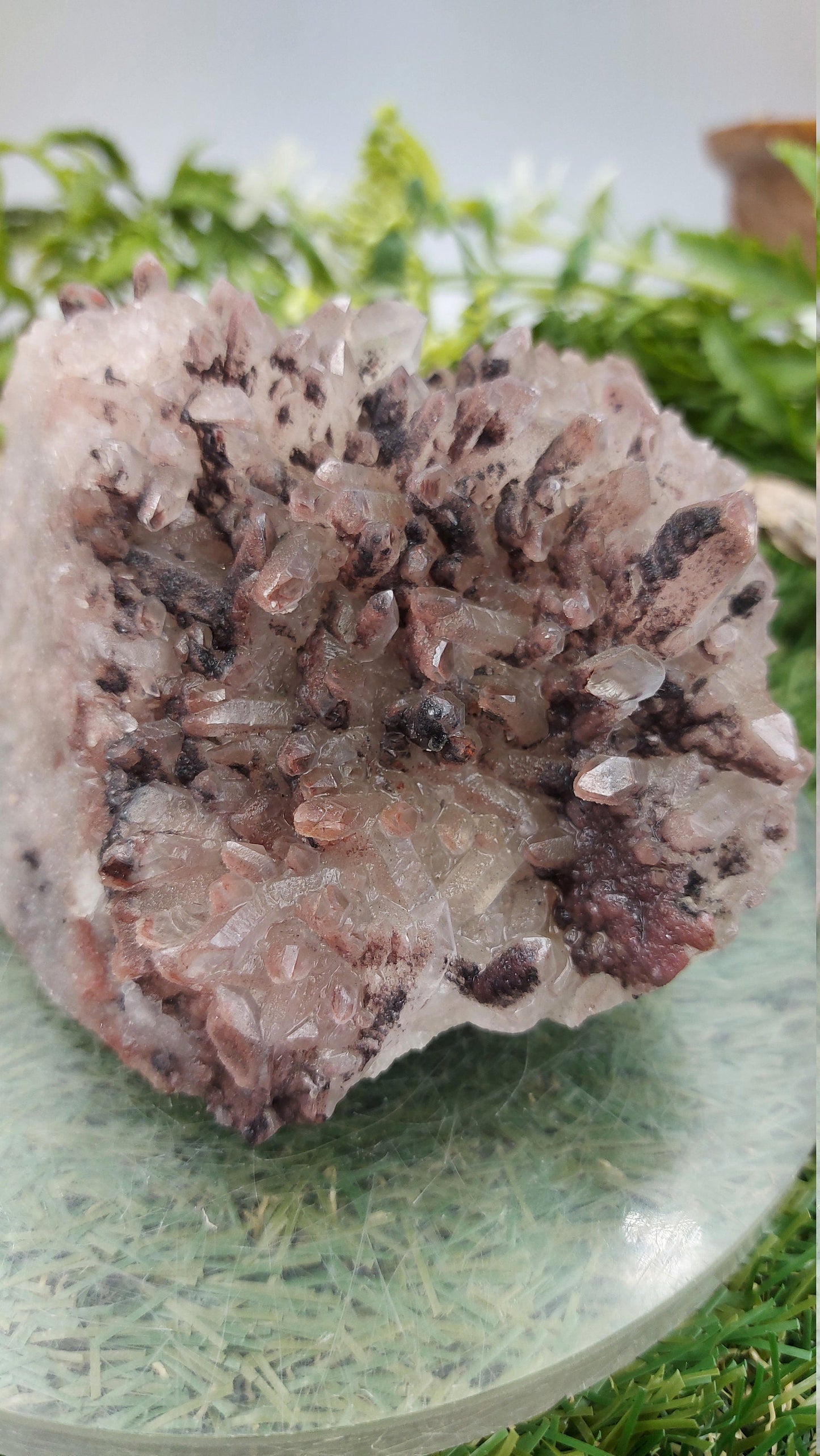 Collector's Piece - Quartz Rough Mineral with Hematite Oxidation