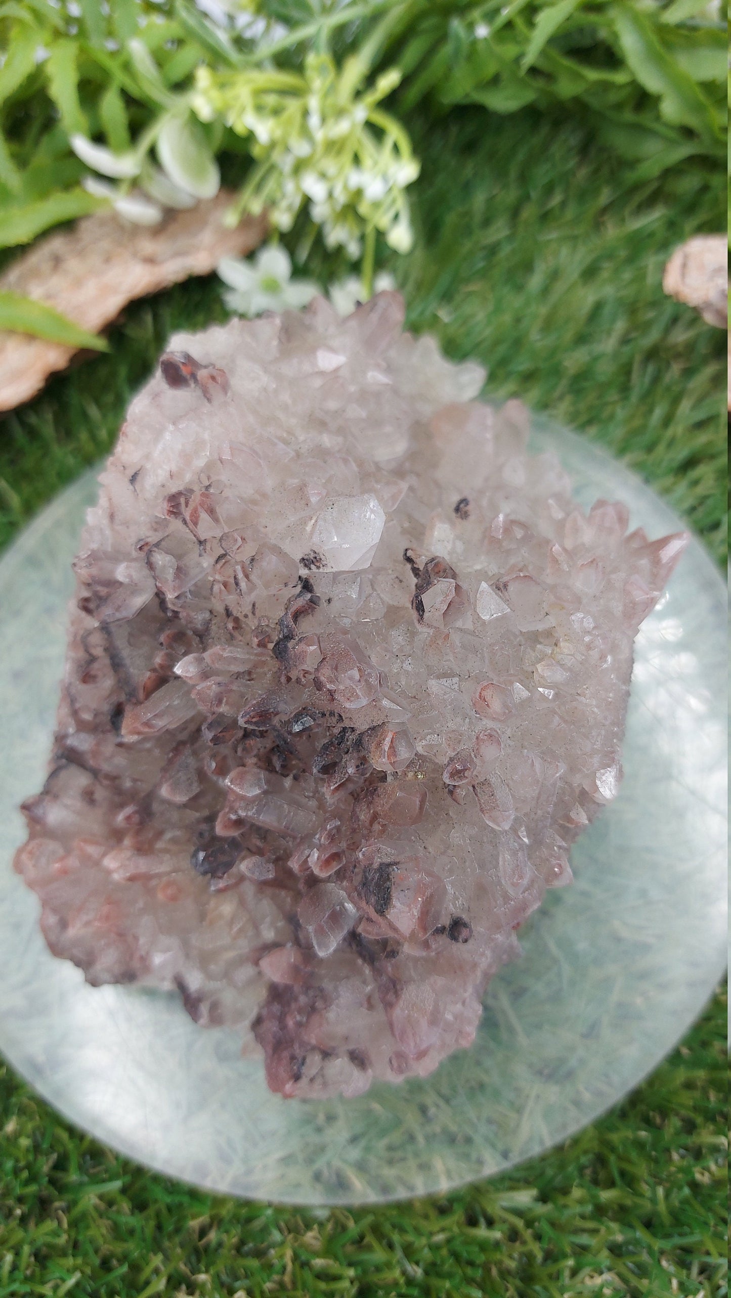 Collector's Piece - Quartz Rough Mineral with Hematite Oxidation