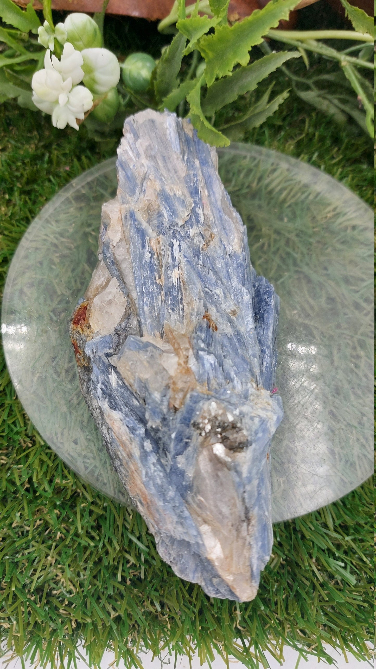 Natural Rough Blue Kyanite Piece - Home Decor