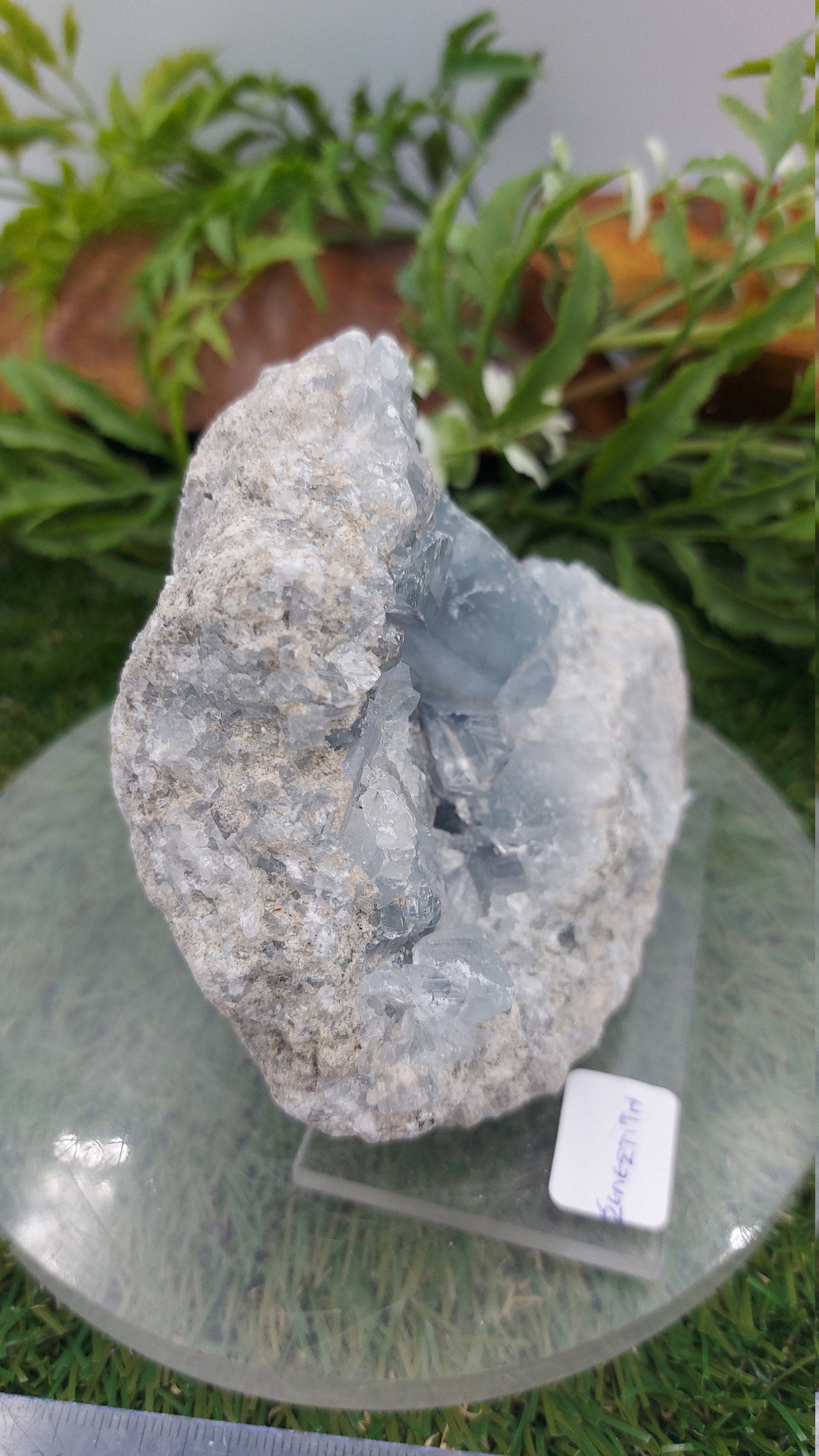 Rough Geody Celestite Mineral Piece - Home Decor / Feng Shui / Protection / Gift Ideas