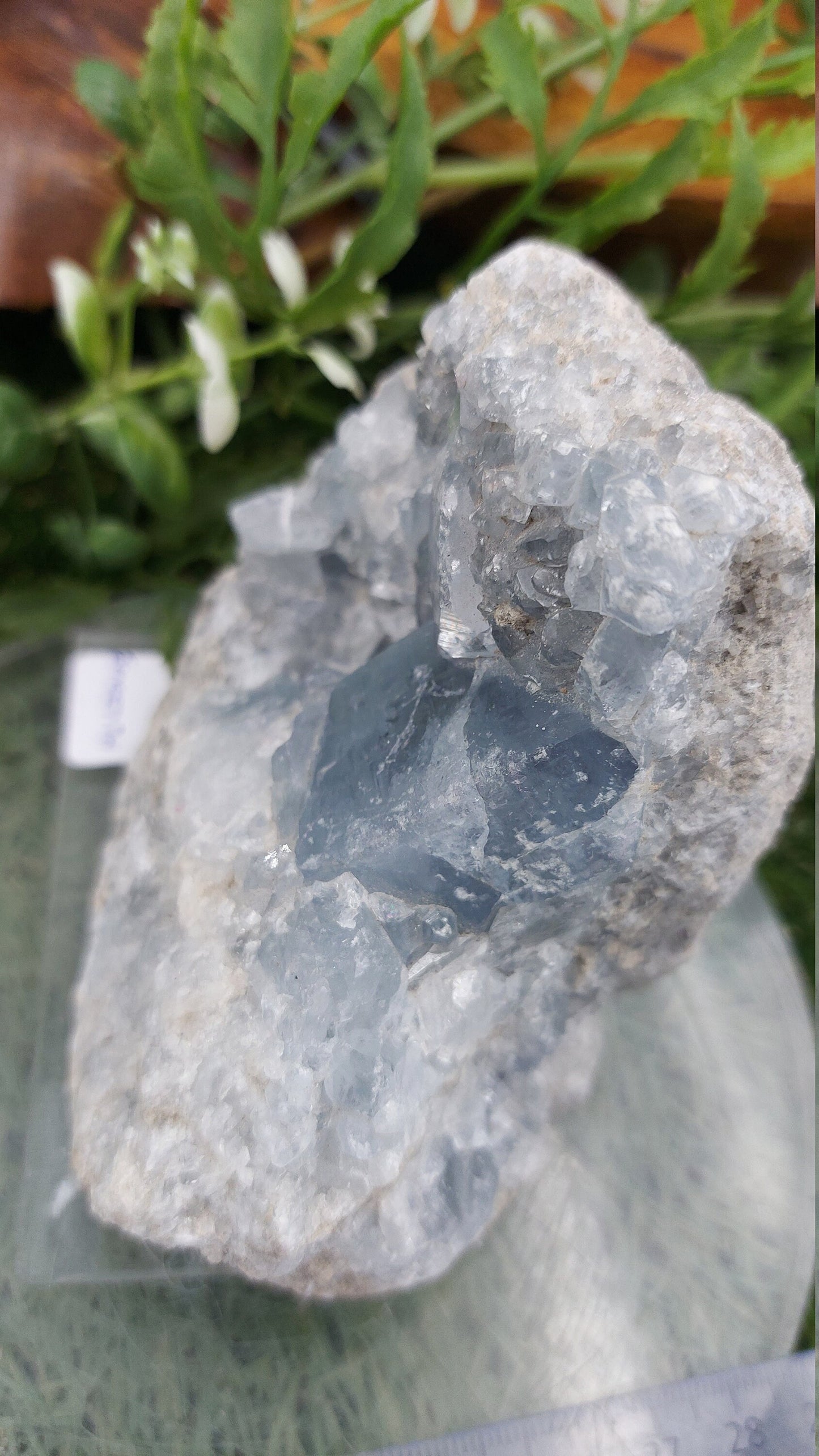 Rough Geody Celestite Mineral Piece - Home Decor / Feng Shui / Protection / Gift Ideas