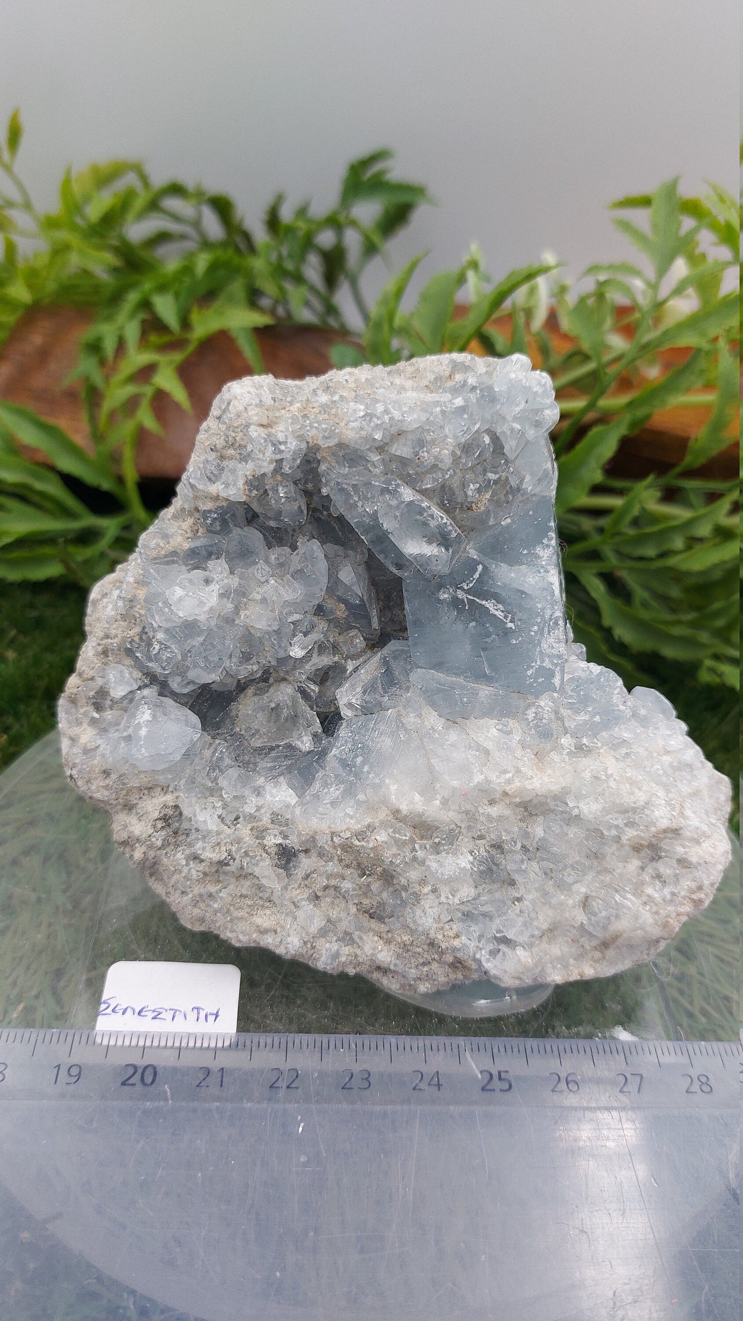 Rough Geody Celestite Mineral Piece - Home Decor / Feng Shui / Protection / Gift Ideas