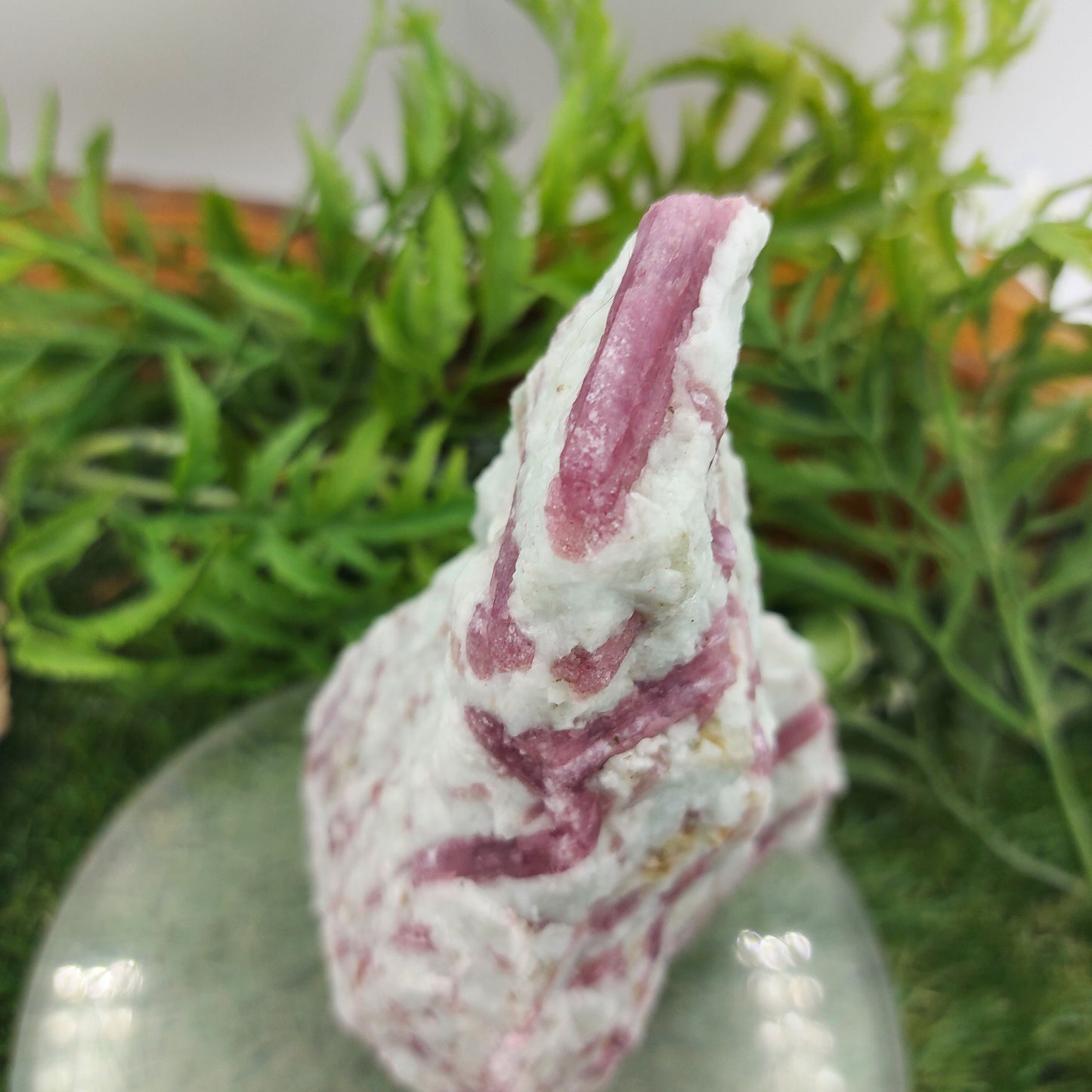 Collector's Piece - Pink Tourmaline with Feldspars Rough Mineral