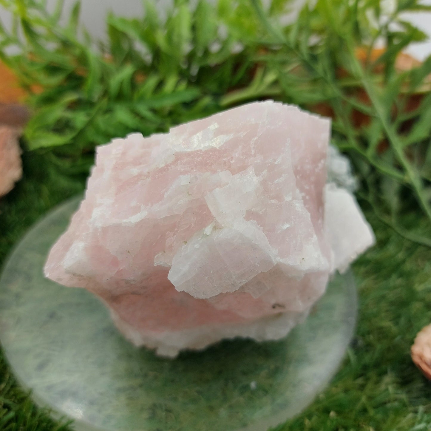 Collector's Piece - Pink Manganoan Calcite Rough Mineral - Heart Chakra Healing