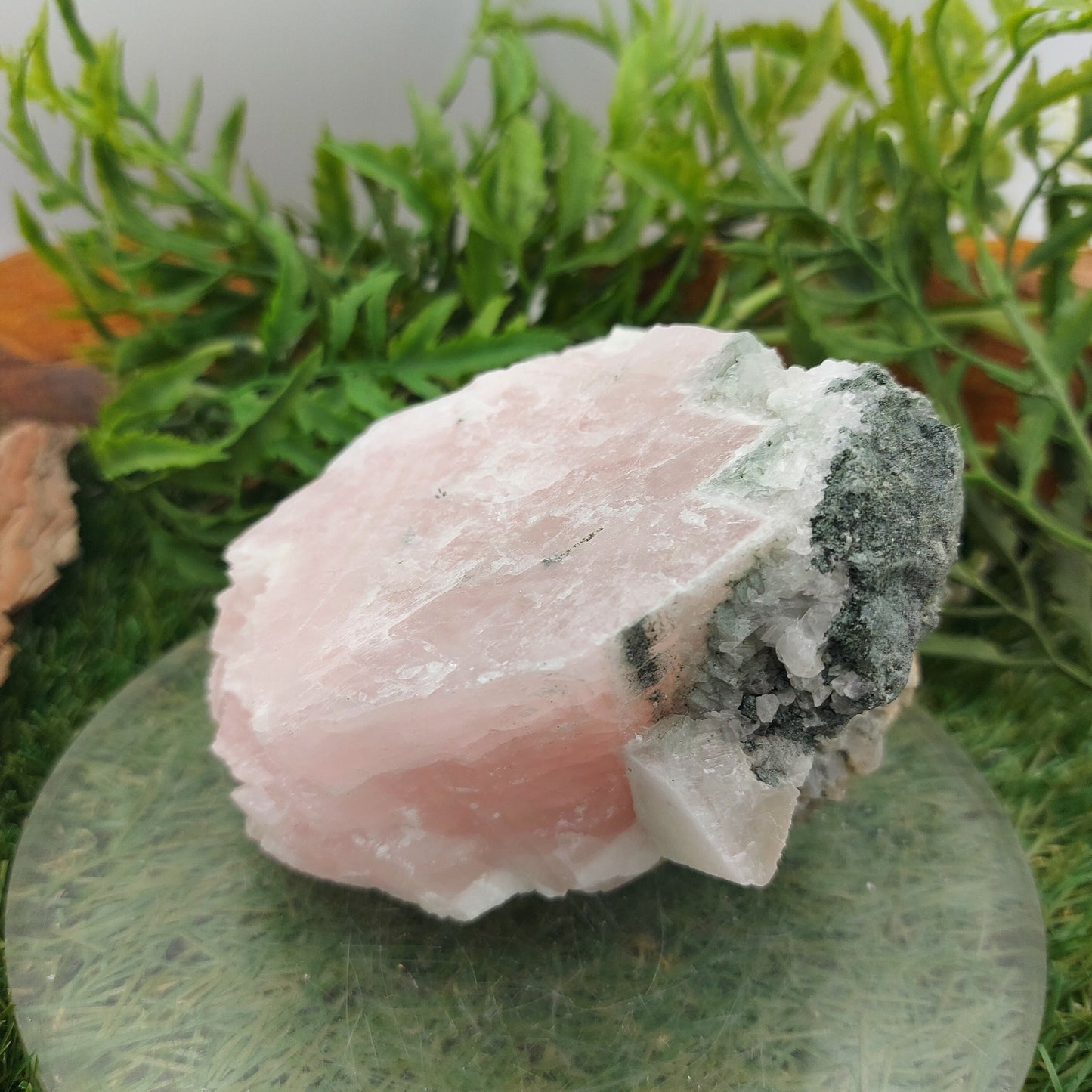 Collector's Piece - Pink Manganoan Calcite Rough Mineral - Heart Chakra Healing