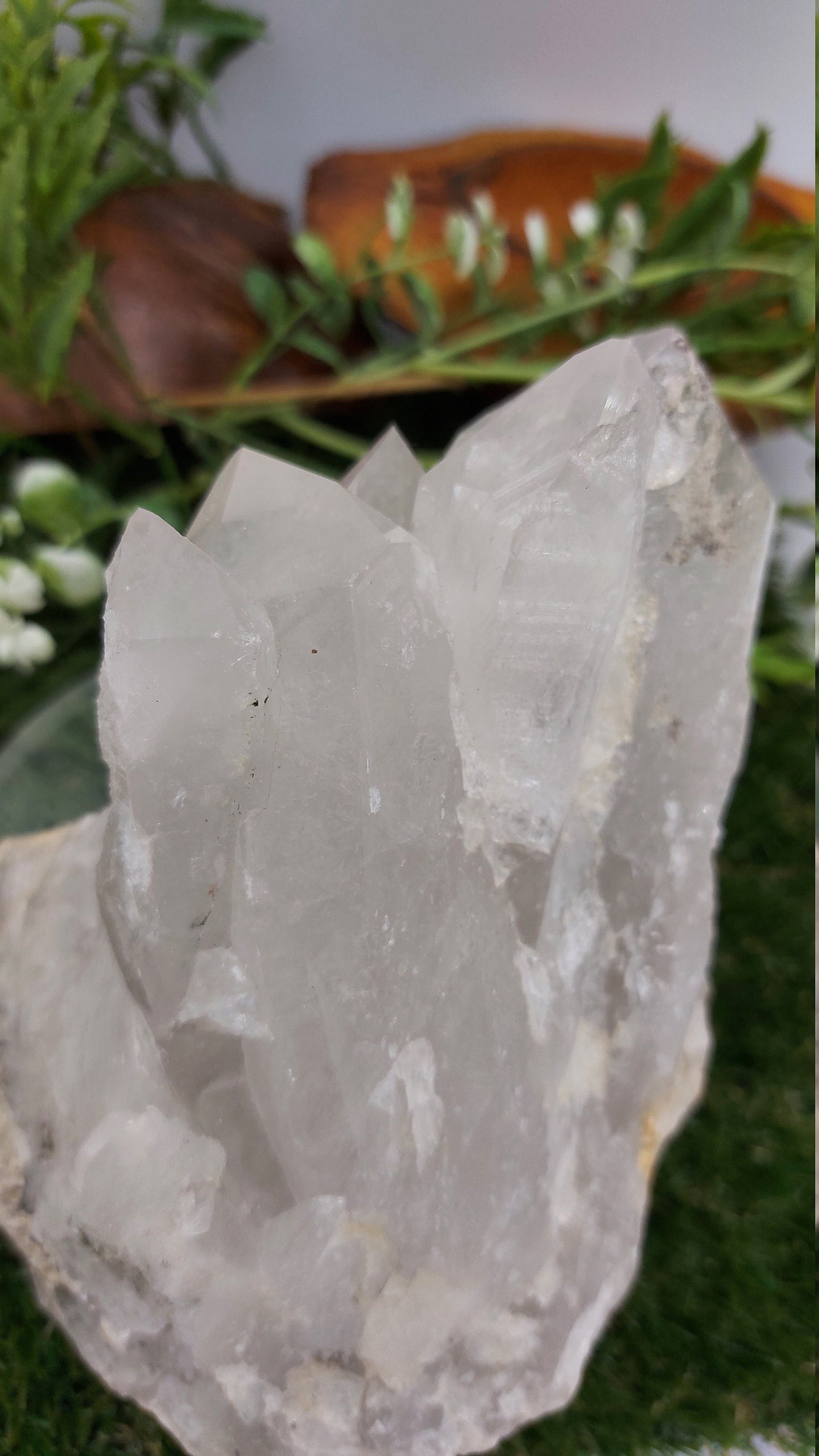 Collector's Piece - Rough Quartz Pointy Mineral / Home Decor / Protection