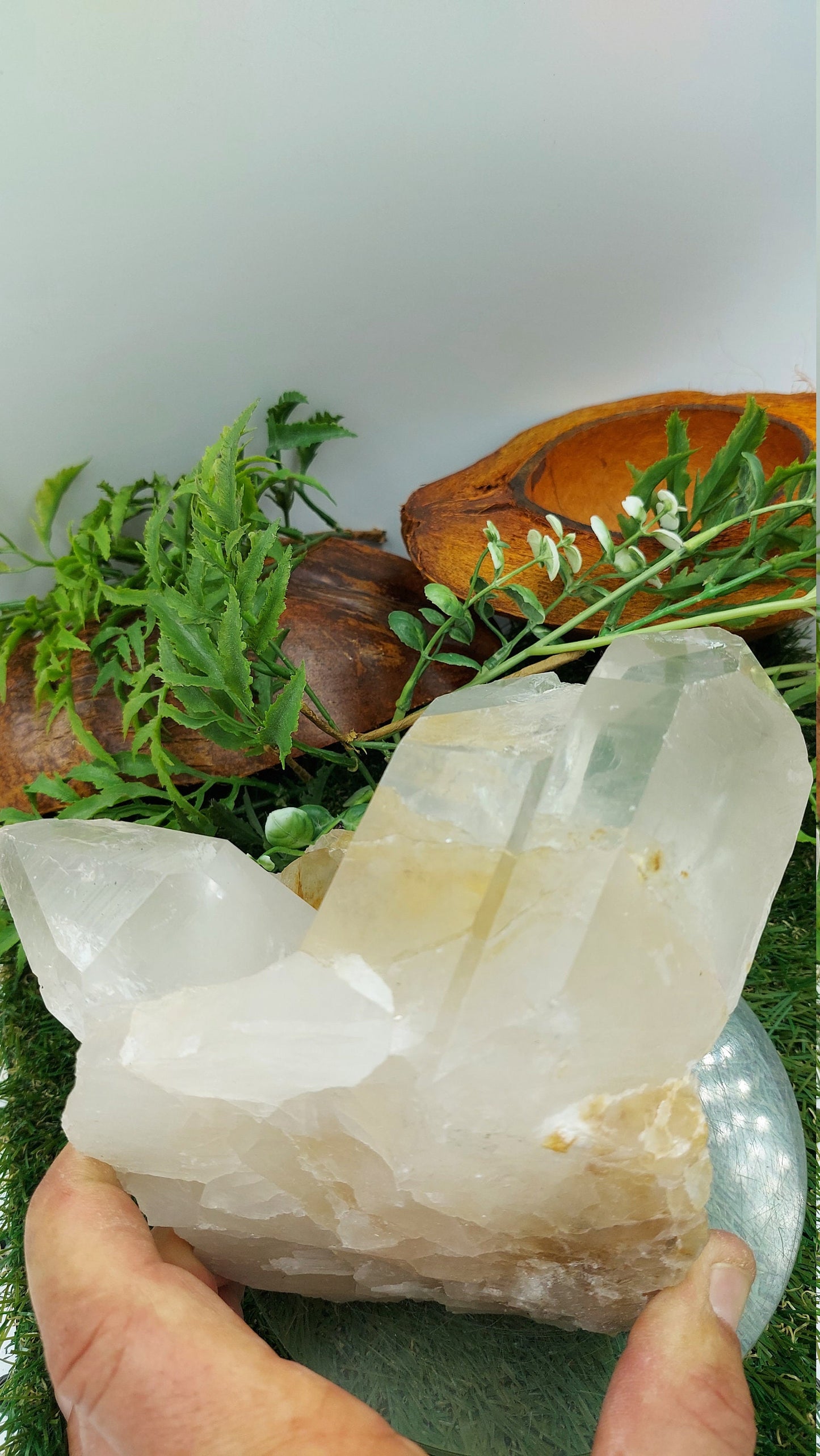 Collector's Piece - Rough Quartz Pointy Mineral / Home Decor / Protection