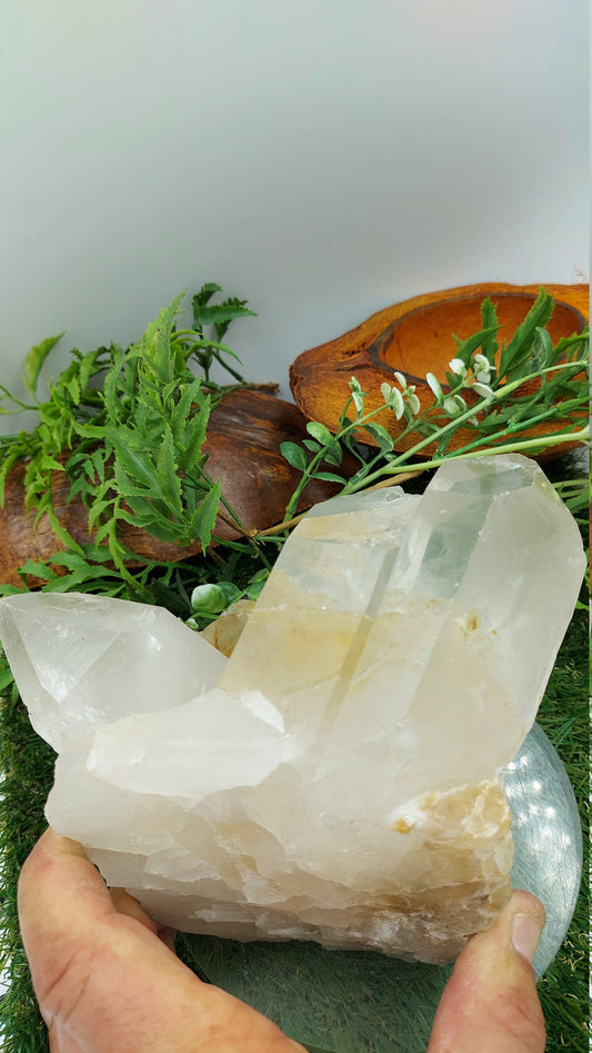 Collector's Piece - Rough Quartz Pointy Mineral / Home Decor / Protection