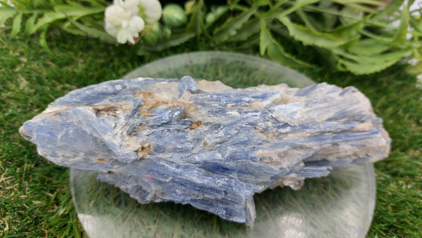 Natural Rough Blue Kyanite Piece - Home Decor