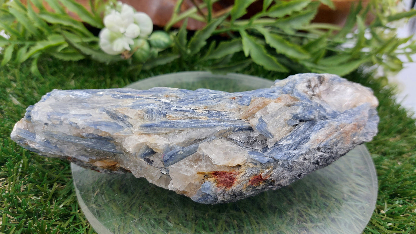Natural Rough Blue Kyanite Piece - Home Decor