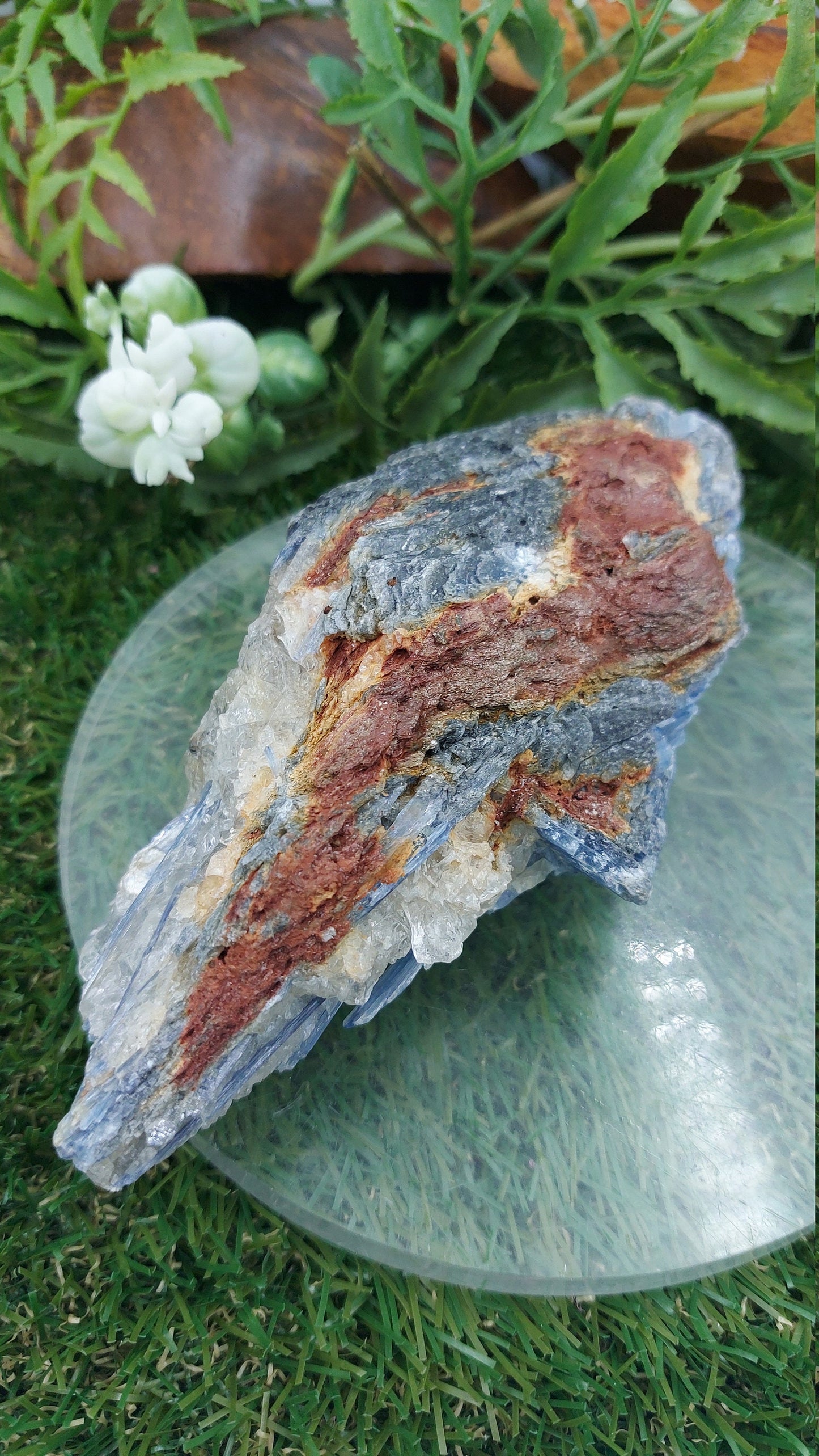Natural Rough Blue Kyanite Piece - Home Decor