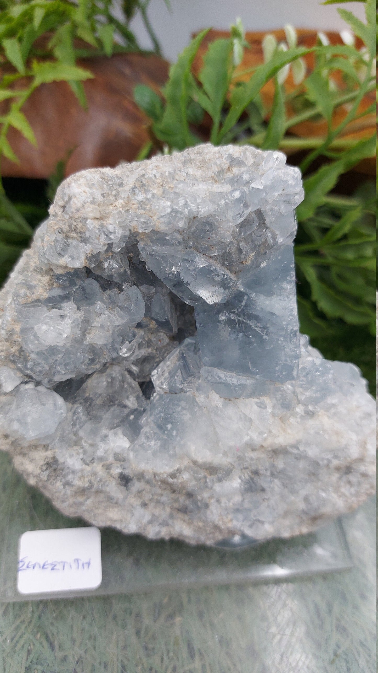 Rough Geody Celestite Mineral Piece - Home Decor / Feng Shui / Protection / Gift Ideas