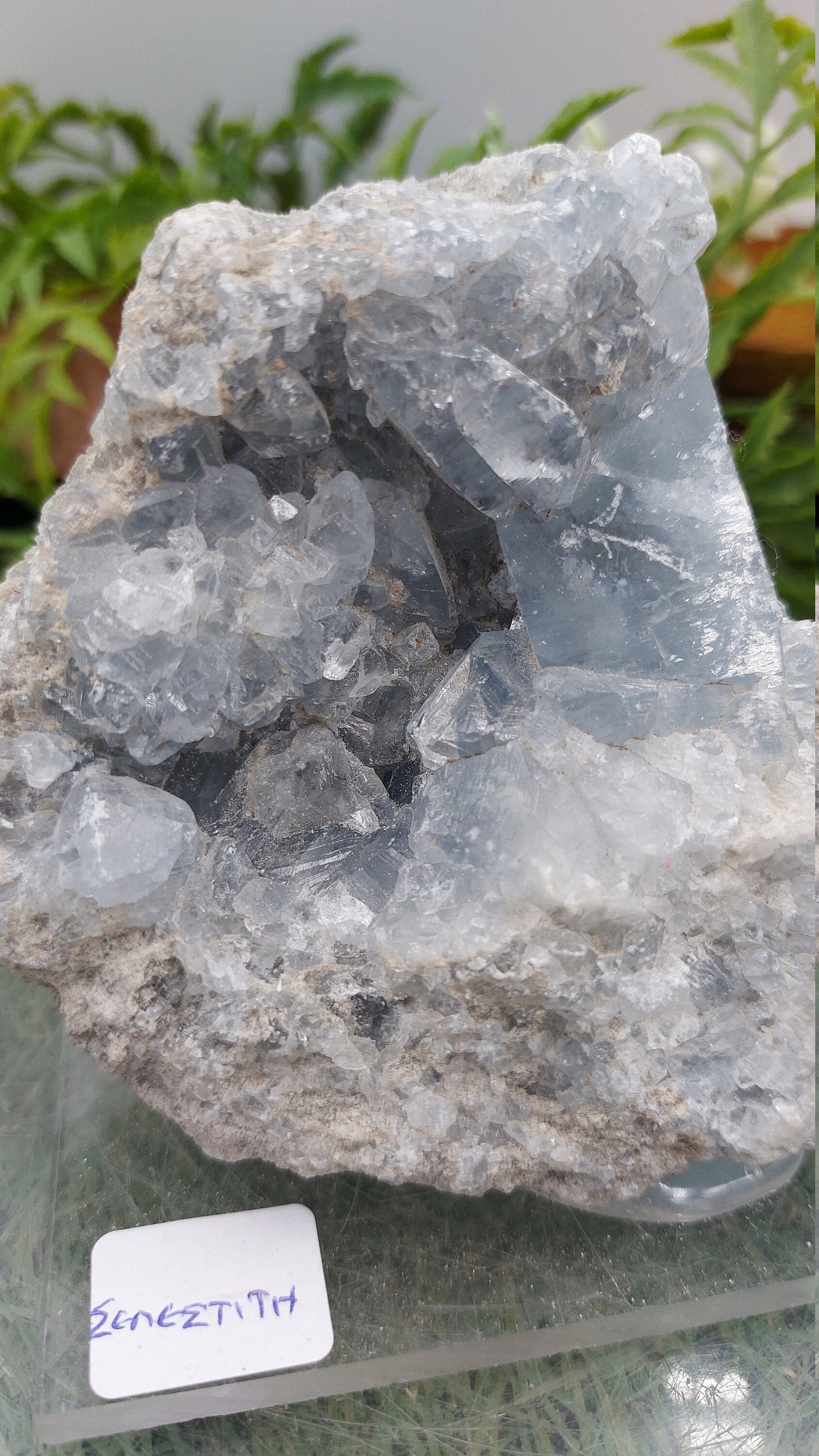Rough Geody Celestite Mineral Piece - Home Decor / Feng Shui / Protection / Gift Ideas