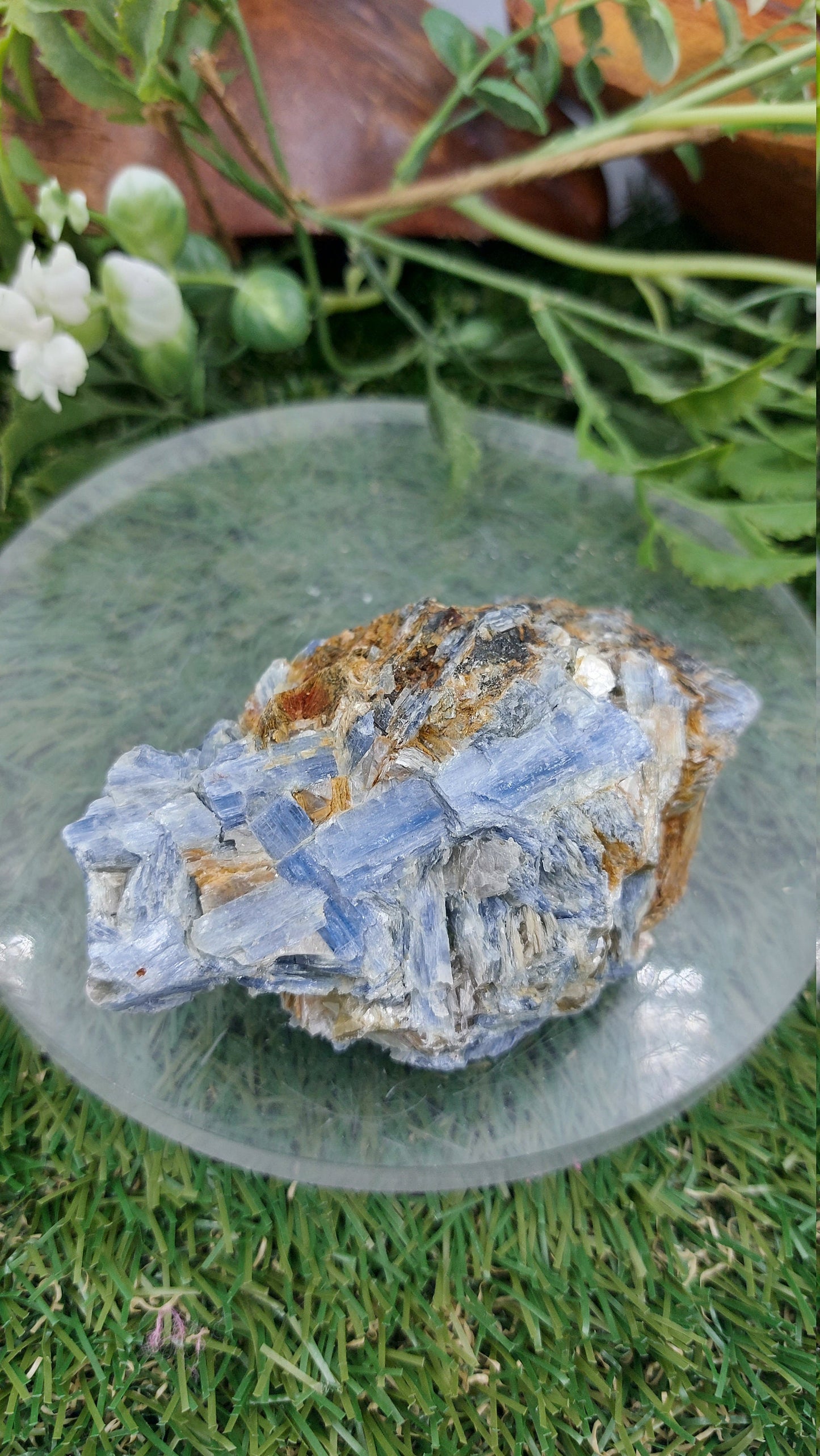 Collector's Piece - Rough Blue Kyanite & Biotite Mica for Healing