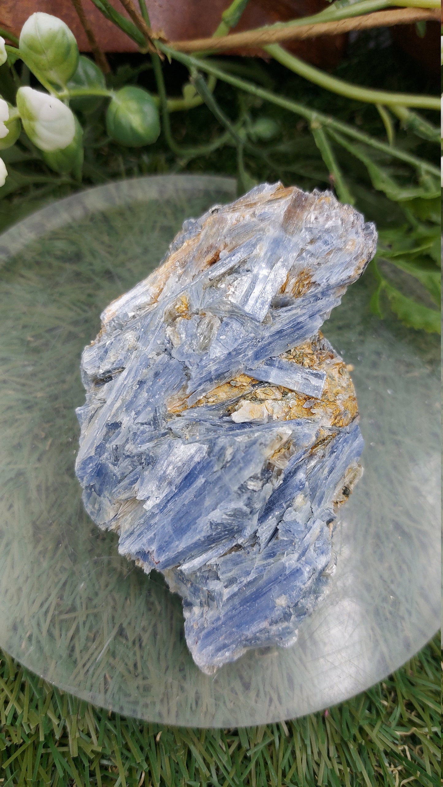 Collector's Piece - Rough Blue Kyanite & Biotite Mica for Healing