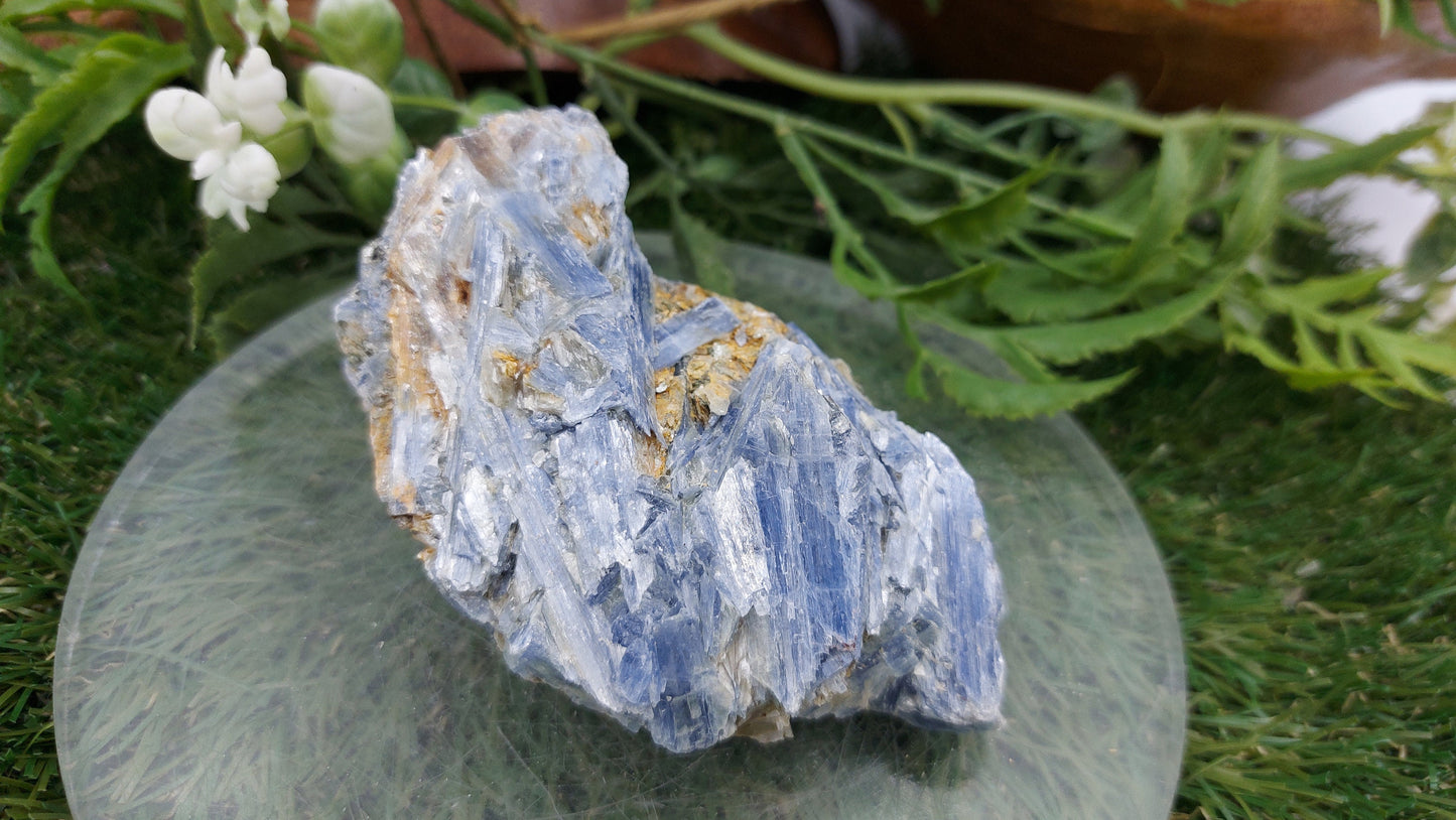 Collector's Piece - Rough Blue Kyanite & Biotite Mica for Healing