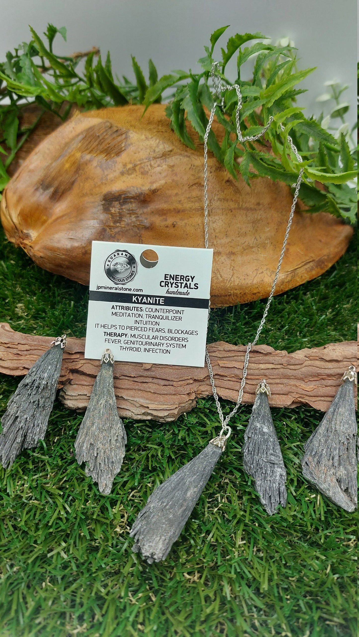 Black Kyanite Crystal Feather Necklace