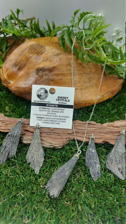 Black Kyanite Crystal Feather Necklace