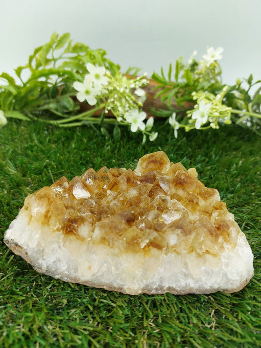 Citrine Rough Crystal Geode Home Decor Happiness Prosperity