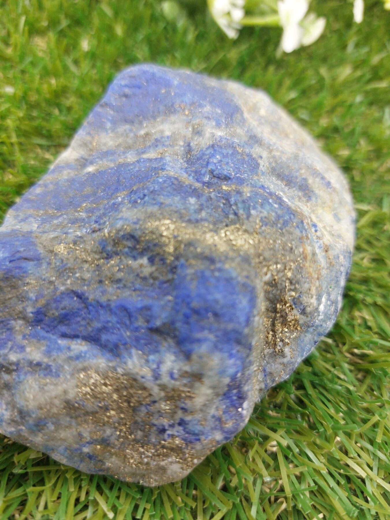 Lapis Lazuli with Pyrite Collector Piece Rough Crystal