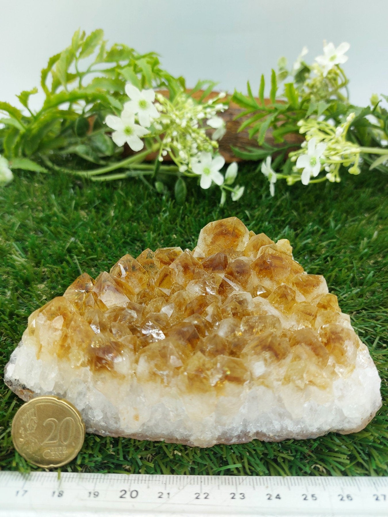 Citrine Rough Crystal Geode Home Decor Happiness Prosperity