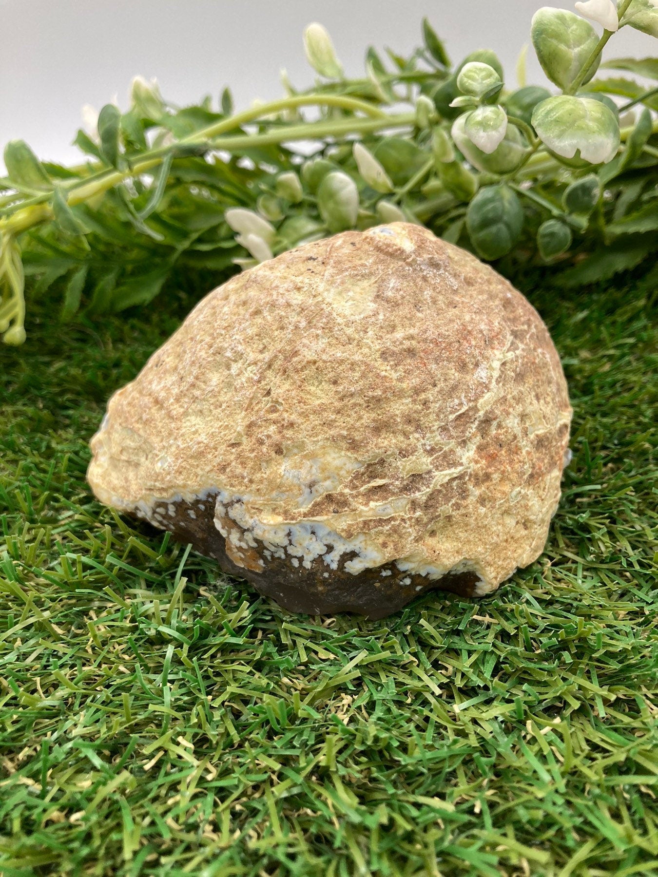 Natural Agate Raw Piece - Mental Clarity - Focus - Communication